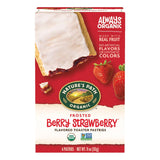 Nature's Path Organic Toaster Pastries – Trail-Ready Organic Breakfast for Campsites and Ski Lodges, Pack of 6