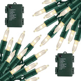 TW SHINE Battery Powered Christmas Lights – Last-Minute Birthday and Valentine's Day Gift for Women Who Love Cozy Spaces