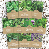Organic Herb Seed Collection – Educational Kids Gardening Project for Indoor and Backyard Learning, 10 Non-GMO