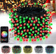 APP RGB - 1Pack 200LED APP with Remote