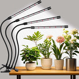 Domus Botanix Clip Grow Light – Spa-Like Indoor Garden Setup for Relaxation Corners and Reading Nooks