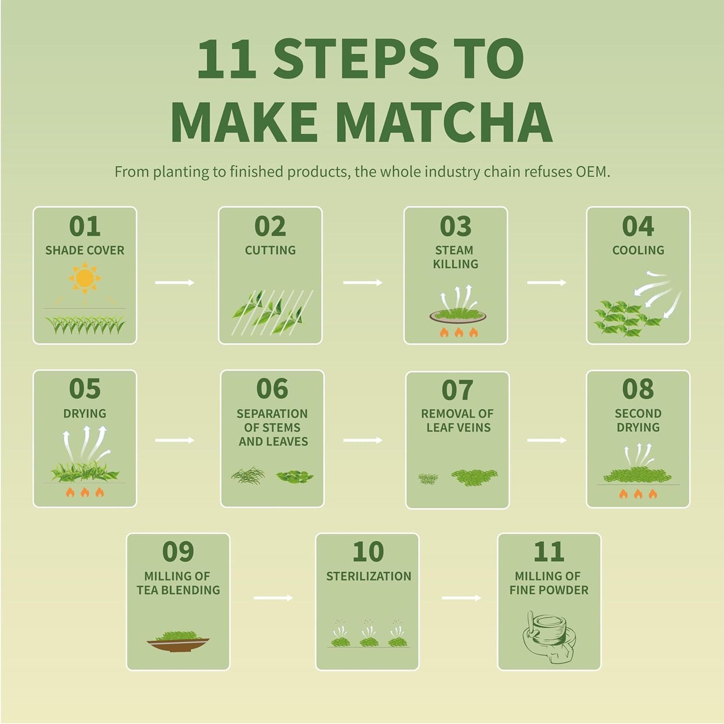 TIAN HU SHAN Culinary Matcha Tin – Simple Vegan Ingredient for Less-Is-More Cooking, Smoothies Baking and Lattes