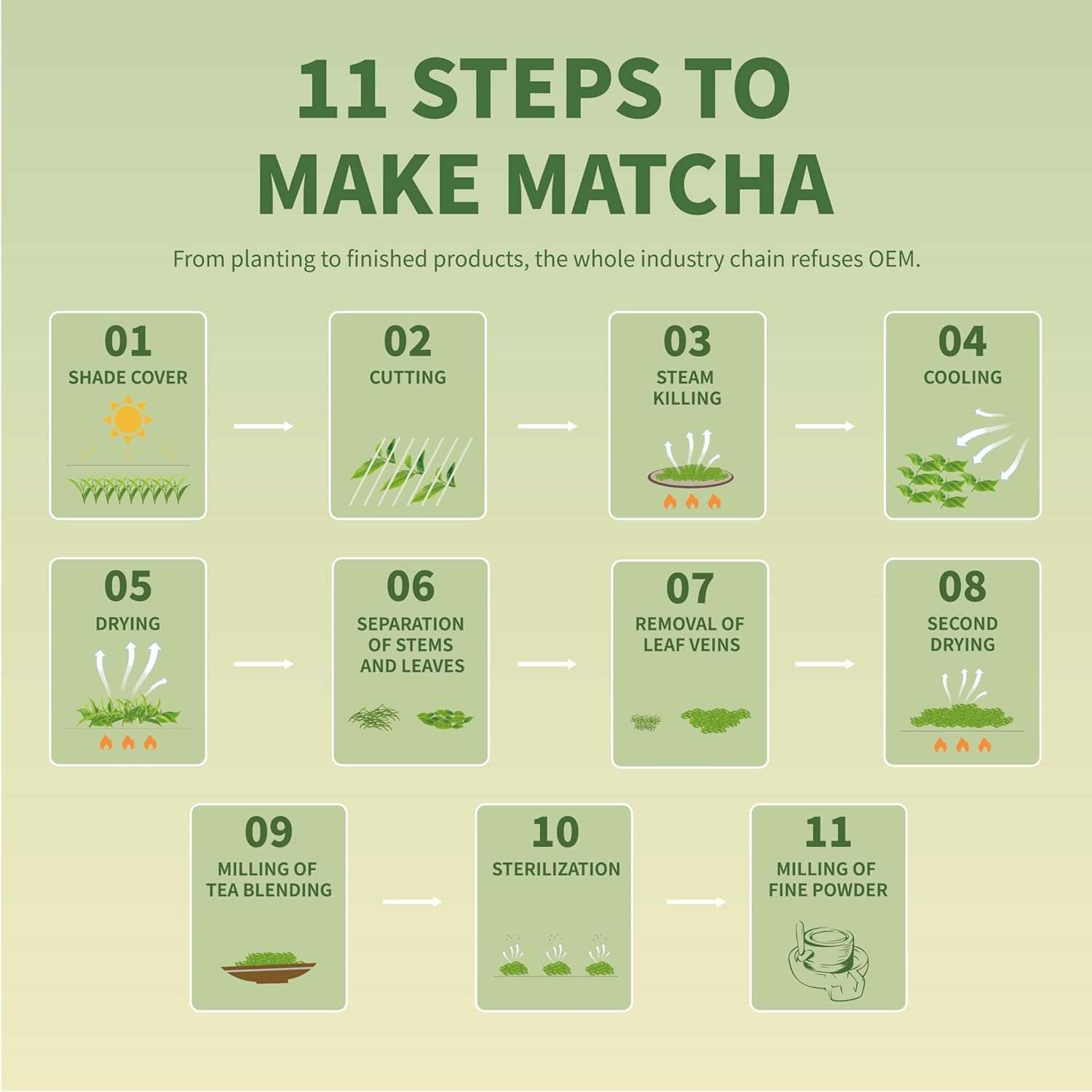 TIAN HU SHAN Culinary Matcha Tin – Simple Vegan Ingredient for Less-Is-More Cooking, Smoothies Baking and Lattes