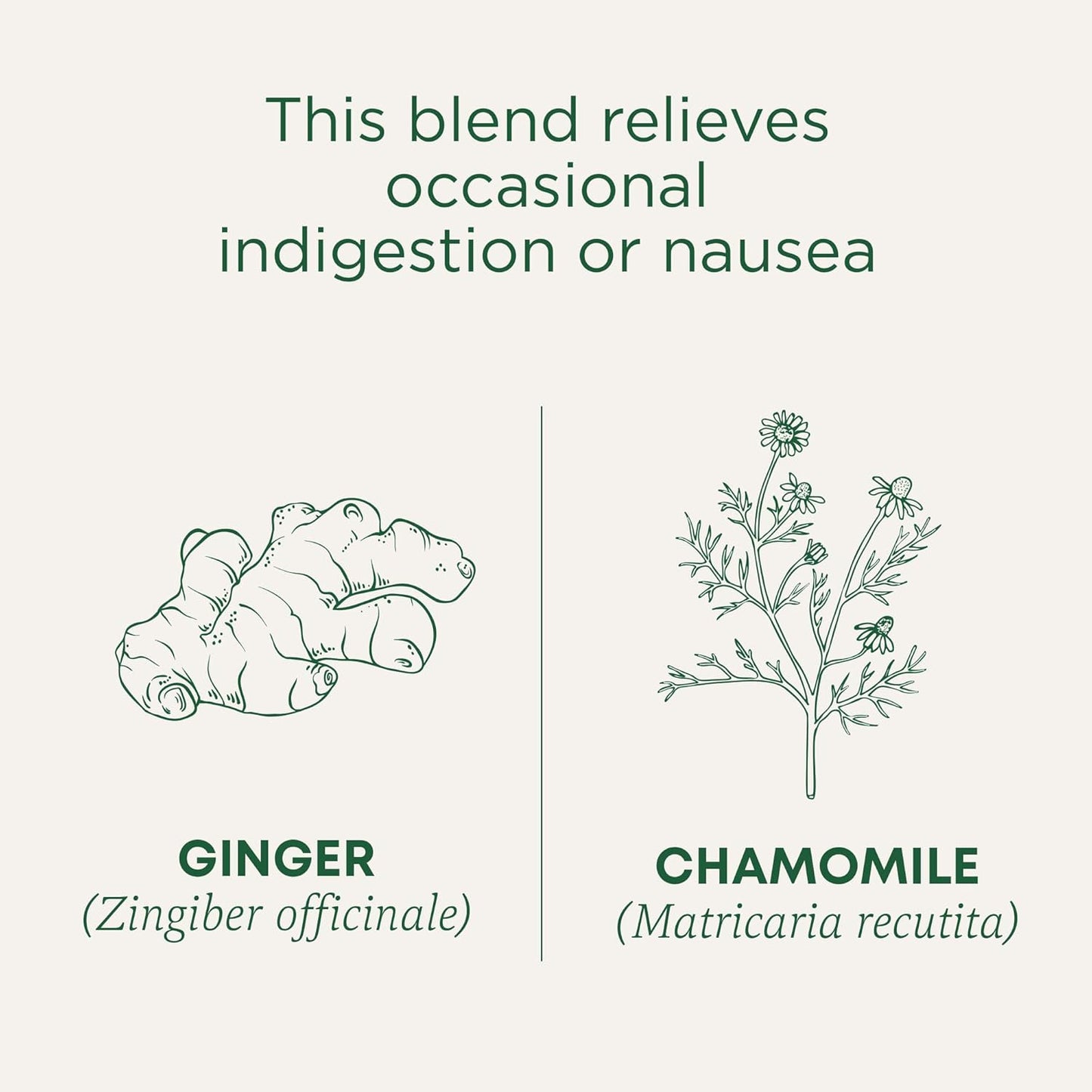Traditional Medicinals Ginger & Chamomile Caffeine-Free Tea – Less-Is-More Wellness Ritual in a Single Sachet, 16 Bags