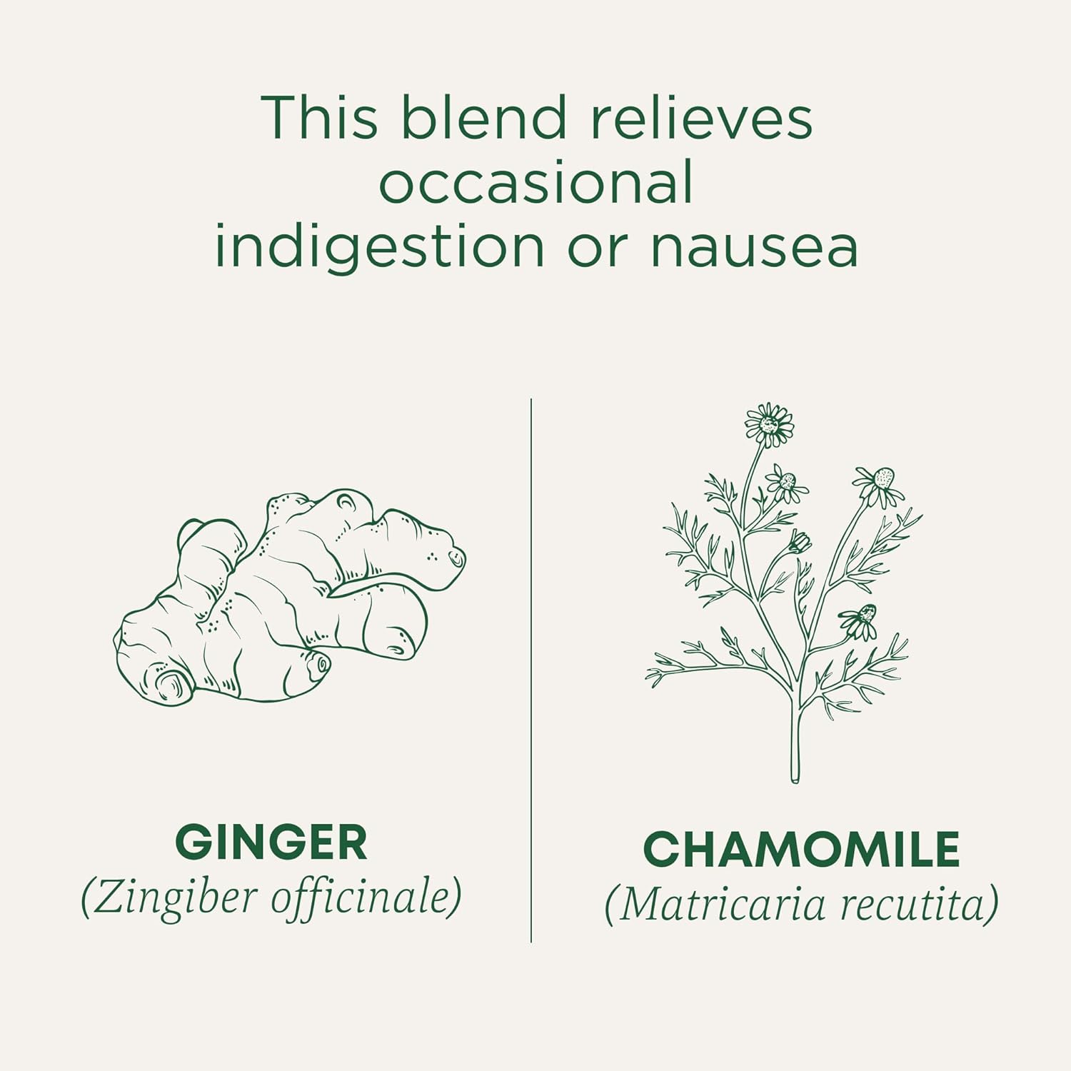 Traditional Medicinals Ginger & Chamomile Caffeine-Free Tea – Less-Is-More Wellness Ritual in a Single Sachet, 16 Bags