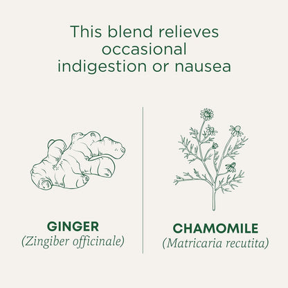 Traditional Medicinals Ginger & Chamomile Caffeine-Free Tea – Less-Is-More Wellness Ritual in a Single Sachet, 16 Bags