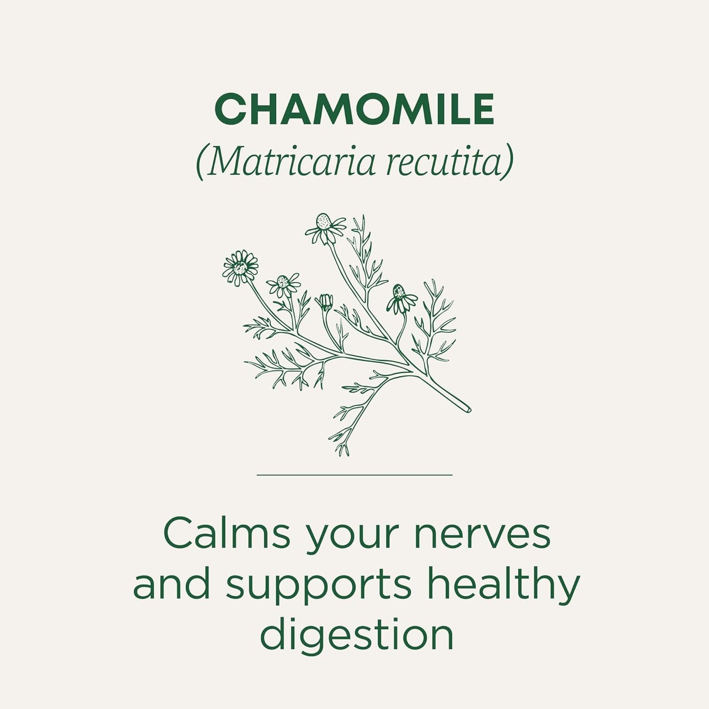 Traditional Medicinals Organic Chamomile Herbal Tea – Pure Single-Ingredient Tea for Less-Is-More Wellness Habits, 16 Bags