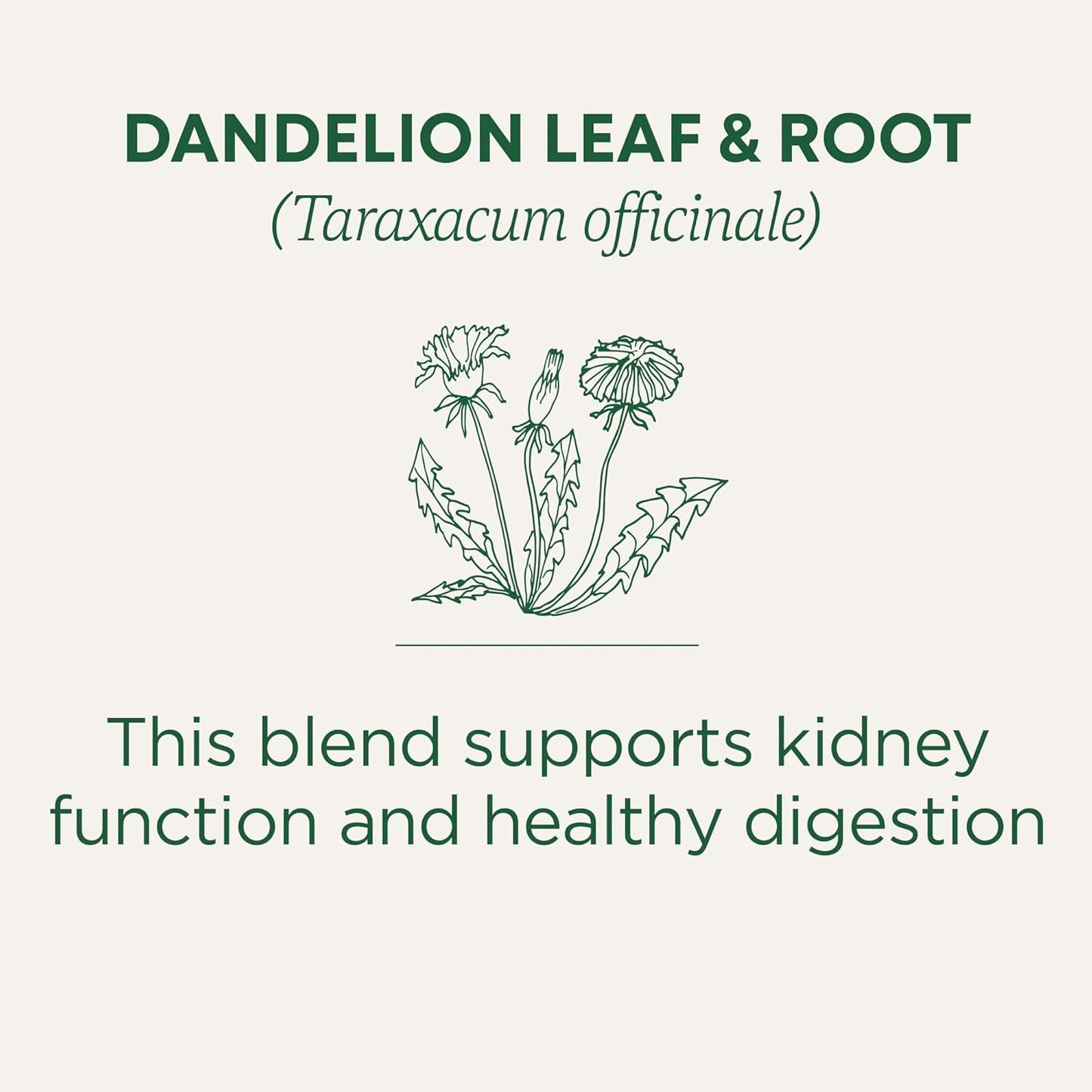 Traditional Medicinals Organic Dandelion Herbal Tea – Portable Kidney & Digestion Support for Road Trips