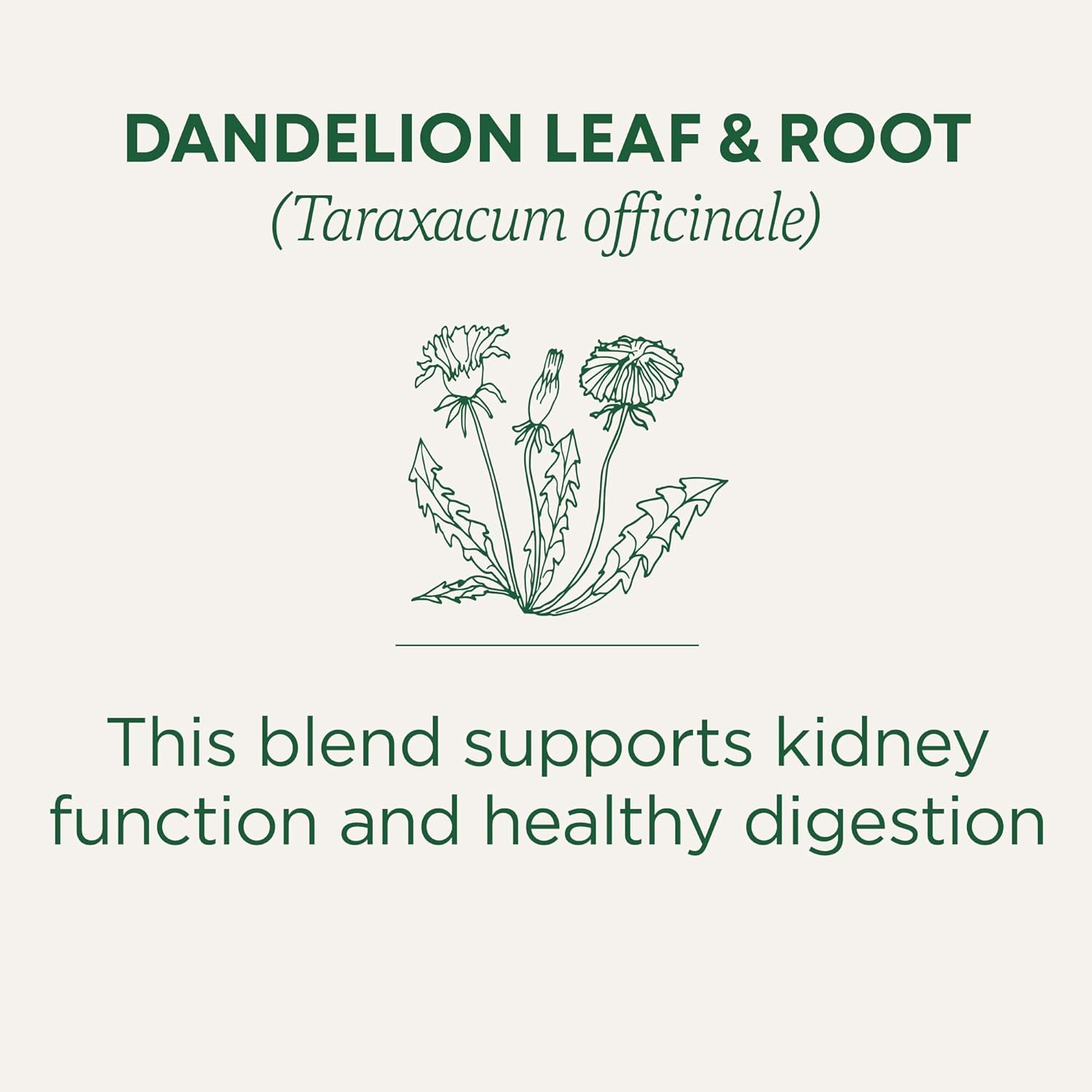 Traditional Medicinals Organic Dandelion Herbal Tea – Portable Kidney & Digestion Support for Road Trips