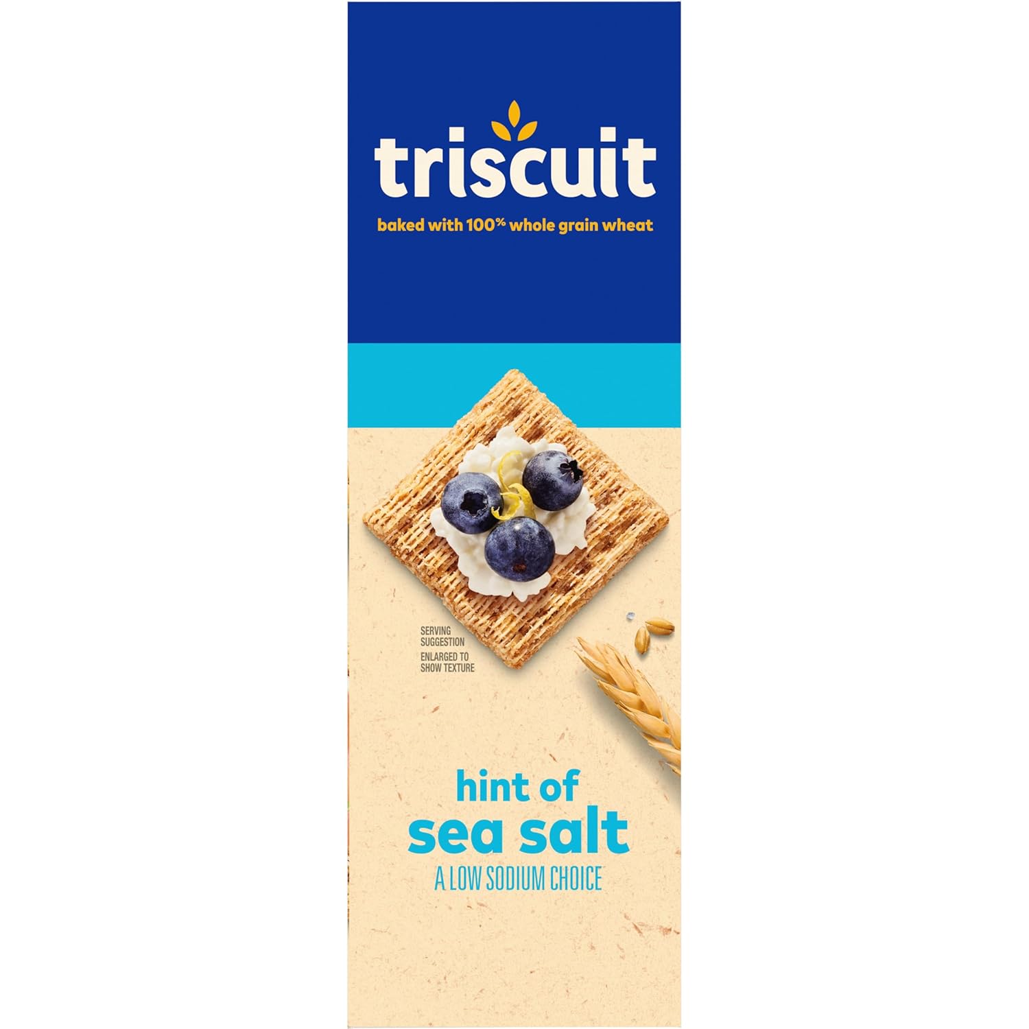 Triscuit Hint of Sea Salt Whole Grain Crackers – Family Pantry Staple for Packing Lunches on Busy Mornings