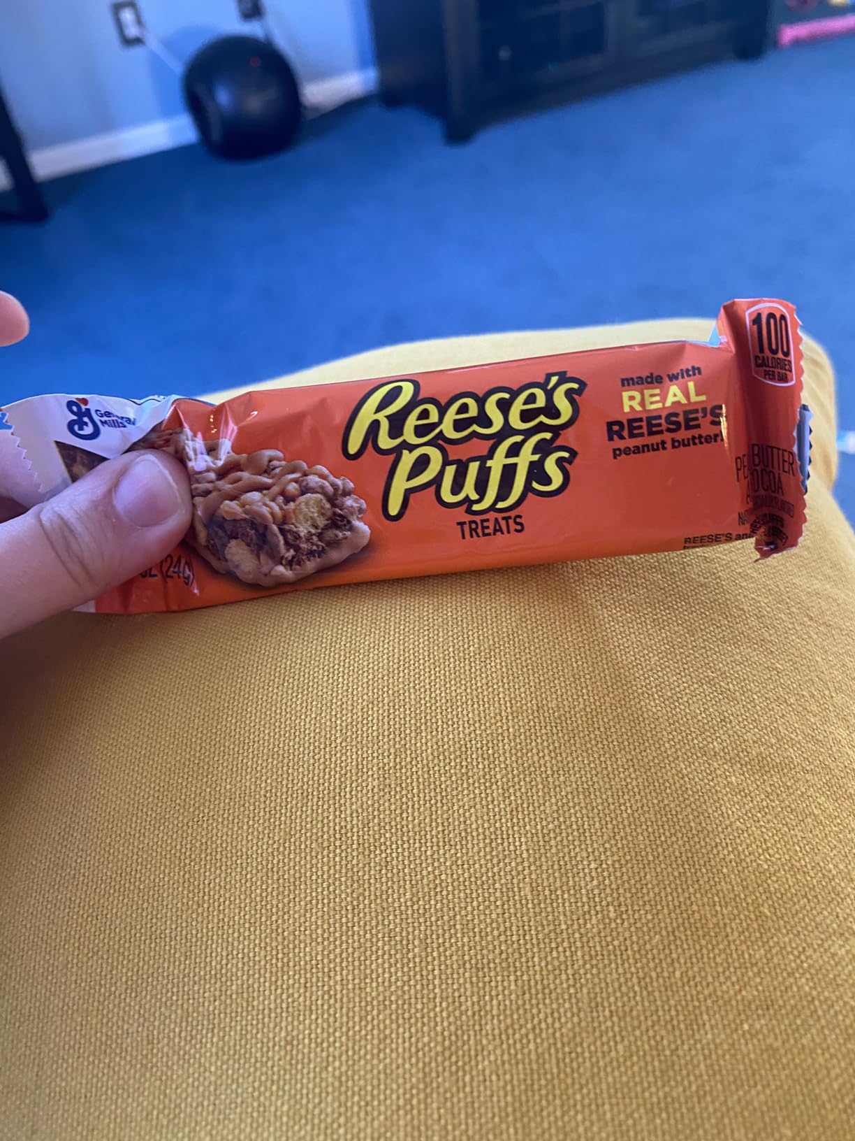 two-flavor assortment combining chocolate-peanut butter and cinnamon-sugar profiles