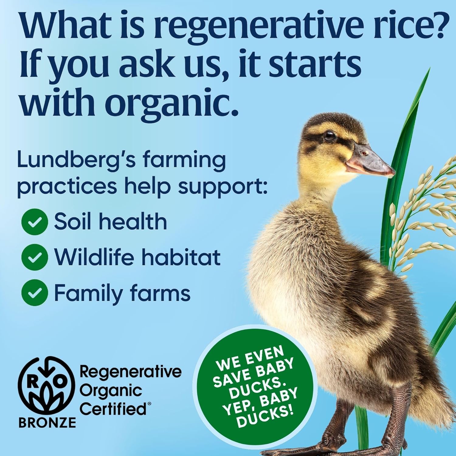 usda certified organic, non-gmo project verified, and certified gluten-free