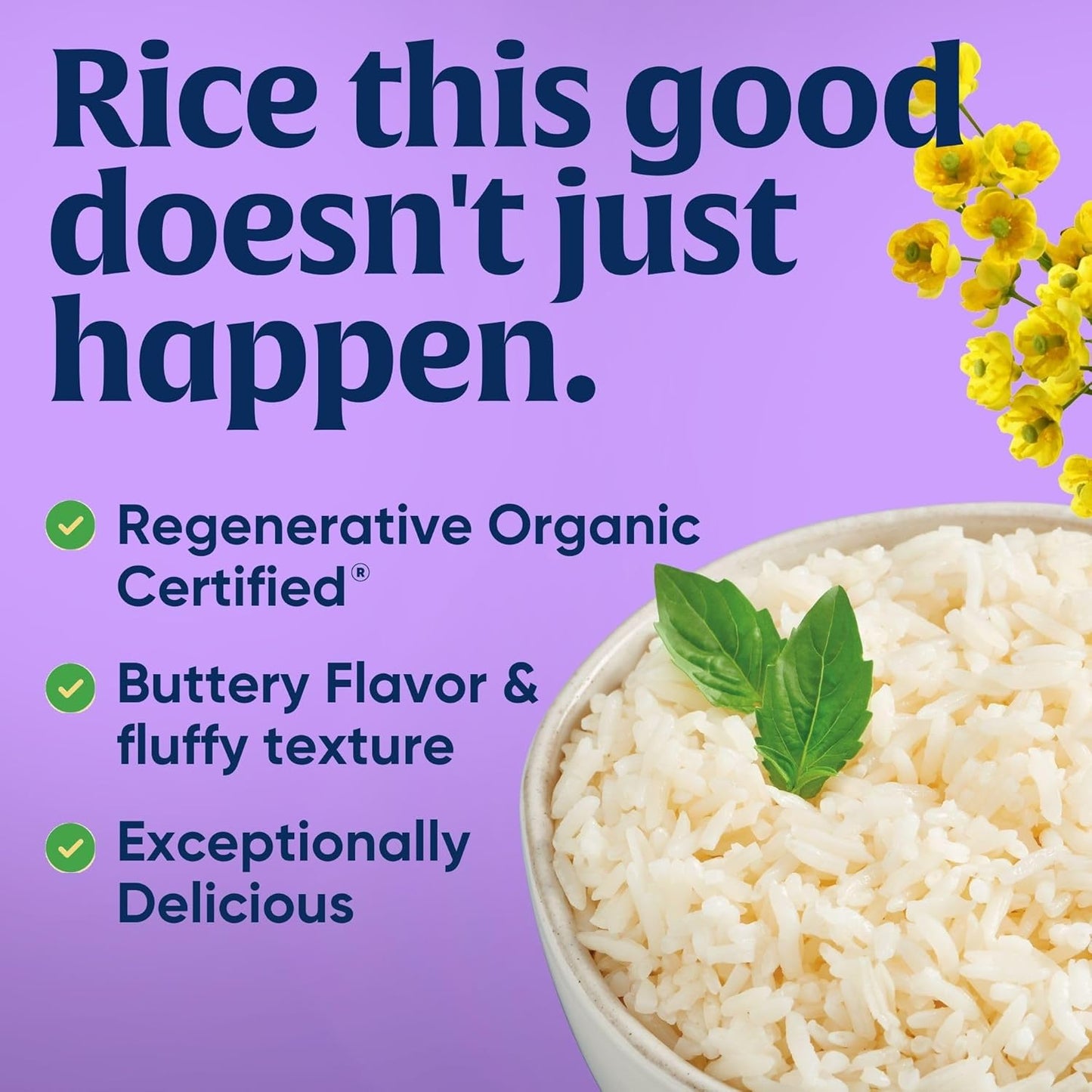 vegan and kosher certified