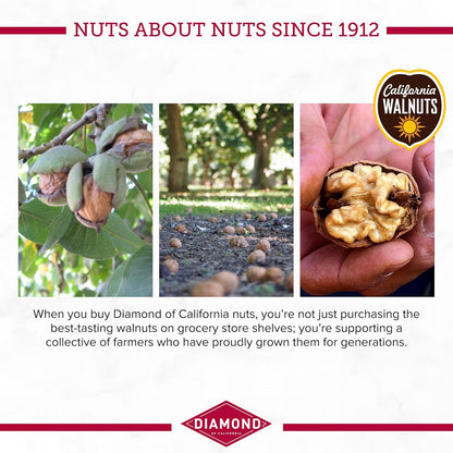 walnut base providing omega-3 ala and plant protein
