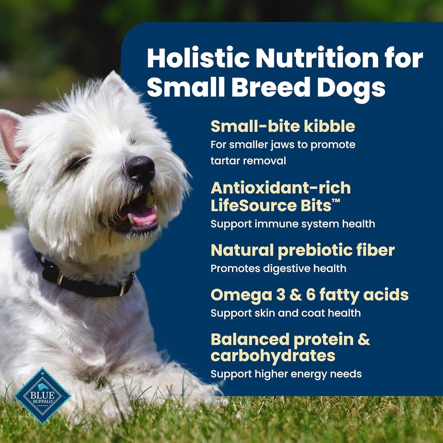 wholesome grain blend of brown rice, oatmeal, and barley for steady energy and digestion