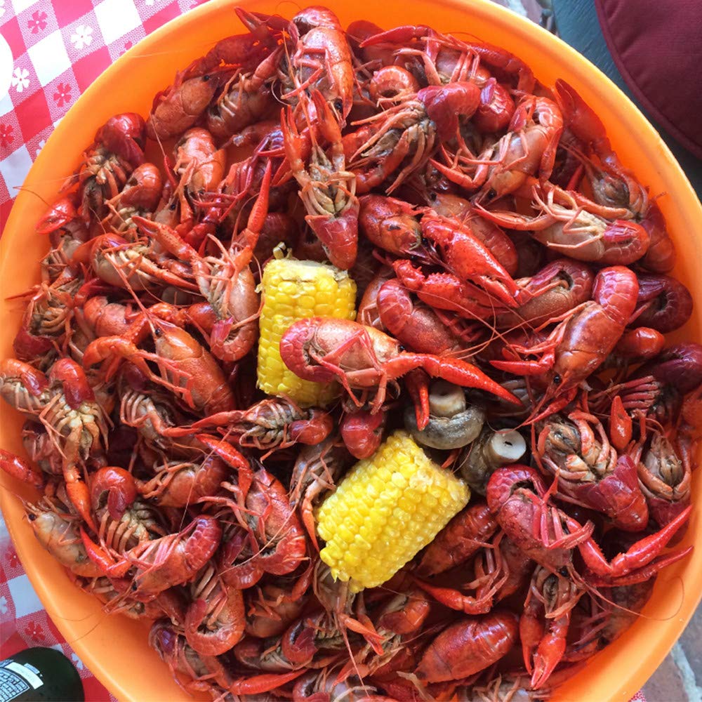 Zatarain's Crawfish, Shrimp & Crab Boil 4.5 lb – Bulk Kitchen Seasoning That Cuts Down Recipe Steps