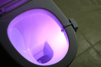 ZEZHOU Toilet Bowl Night Light – Ambient Bathroom Decor LED for Master and Guest Bath, Novelty Housewarming Party Accessory